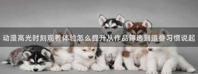 omofun动漫大全在线观看：动漫高光时刻观看体验怎么提升从作品筛选到追番习惯说起配图