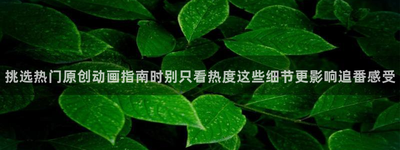 omofun动漫电影免费观看：挑选热门原创动画指南时别只看热度这些细节更影响追番感受配图
