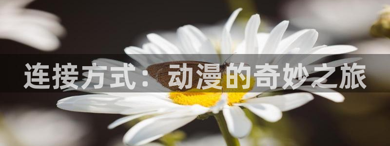 omofun剧场版在线观看:连接方式:动漫的奇妙之旅配图