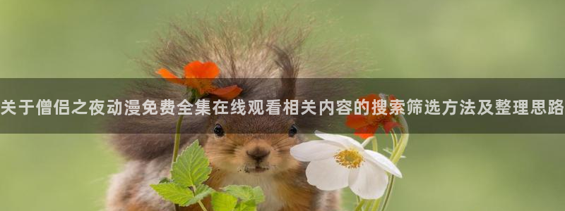 omofun每日更新：关于僧侣之夜动漫免费全集在线观看相关内容的搜索筛选方法及整理思路配图
