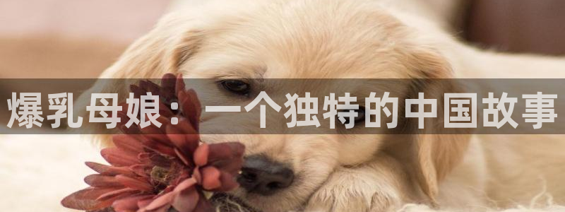 omofun动漫手机版:爆乳母娘:一个独特的中国故事配图