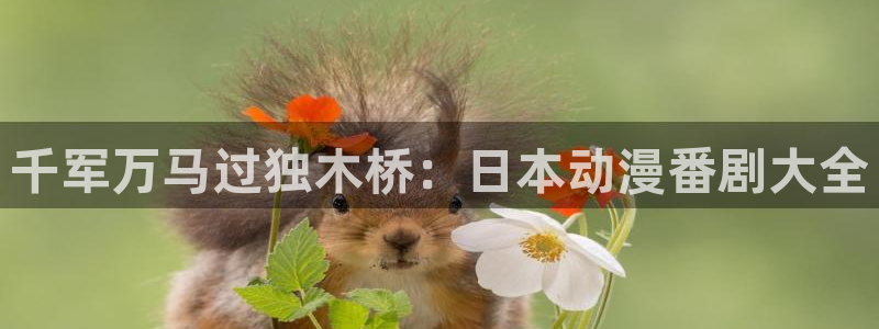 omofun动漫完结:千军万马过独木桥:日本动漫番剧大全配图