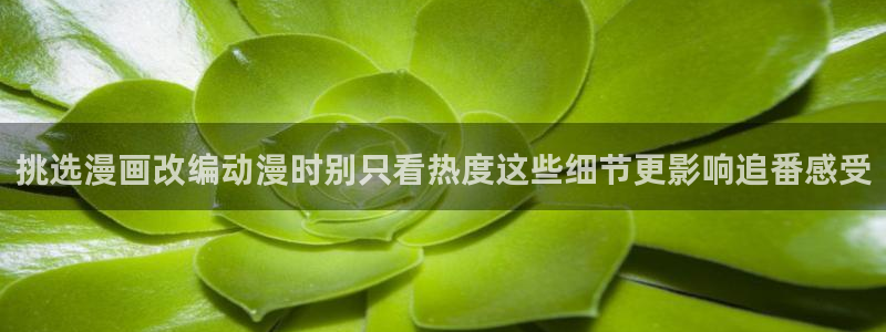 omofun追番列表:挑选漫画改编动漫时别只看热度这些细节更影响追番感受配图