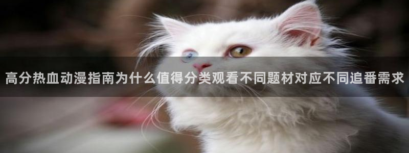 omofun动漫最新排行榜：高分热血动漫指南为什么值得分类观看不同题材对应不同追番需求配图